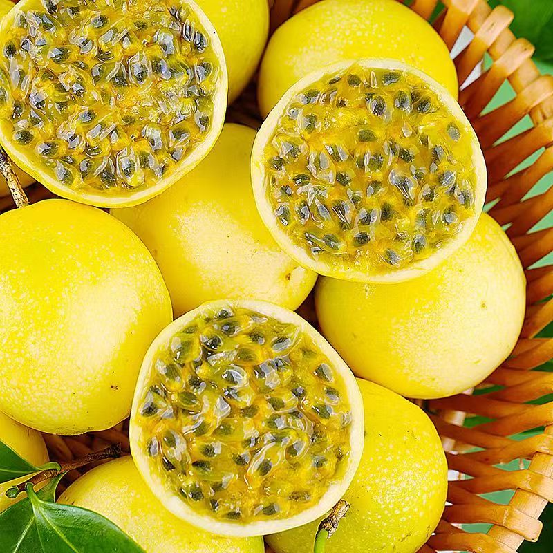 【超新人价】广西新鲜热带水果黄金百香果应季水果香甜多汁L