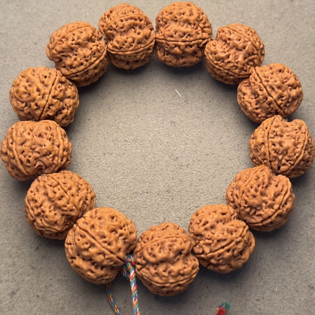 菩提2号金刚菩提梅花双龙24