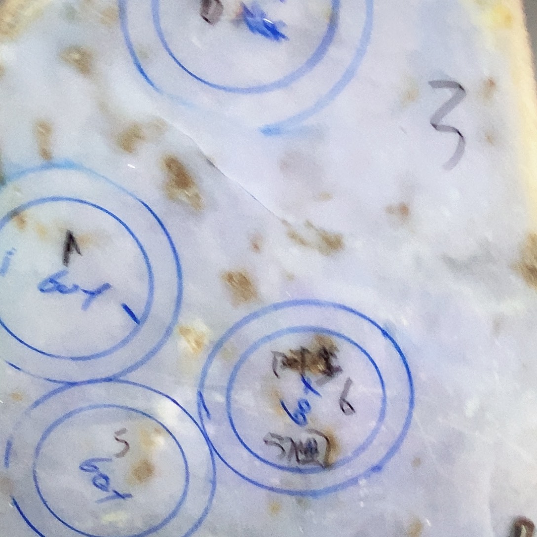 一***天定制翡翠未镶嵌正圈59+缅甸天然翡翠