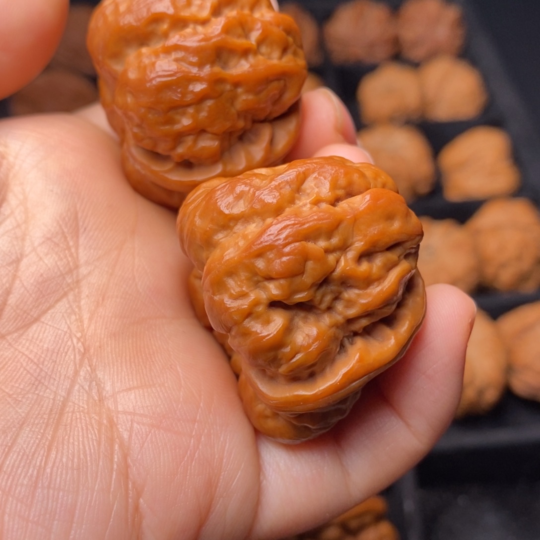 文玩核桃把件秦岭野生核桃