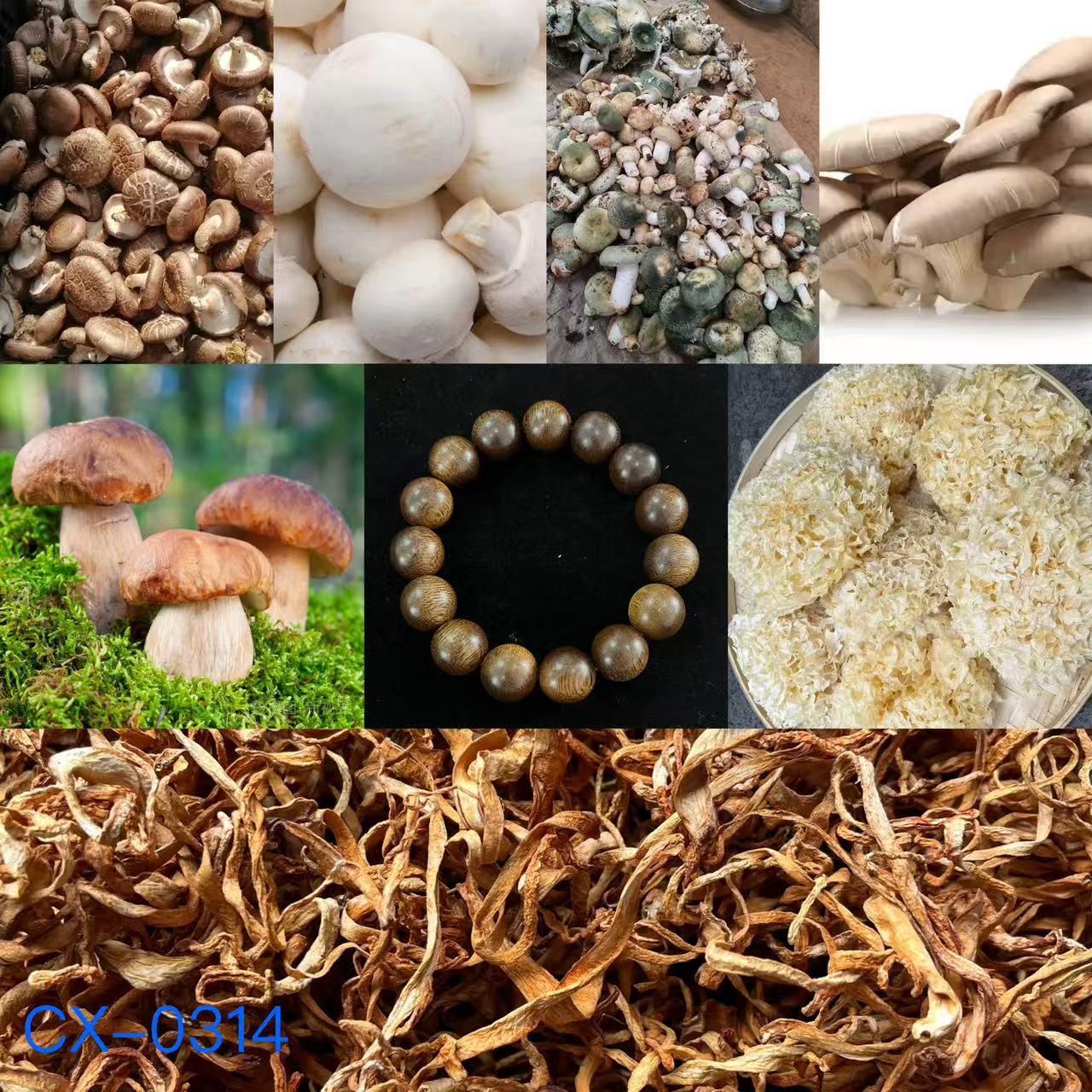 《阿浩专属土特产》CX0314 （多样性发货重量28g