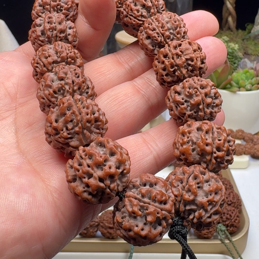 金刚菩提手串铁籽蜂王