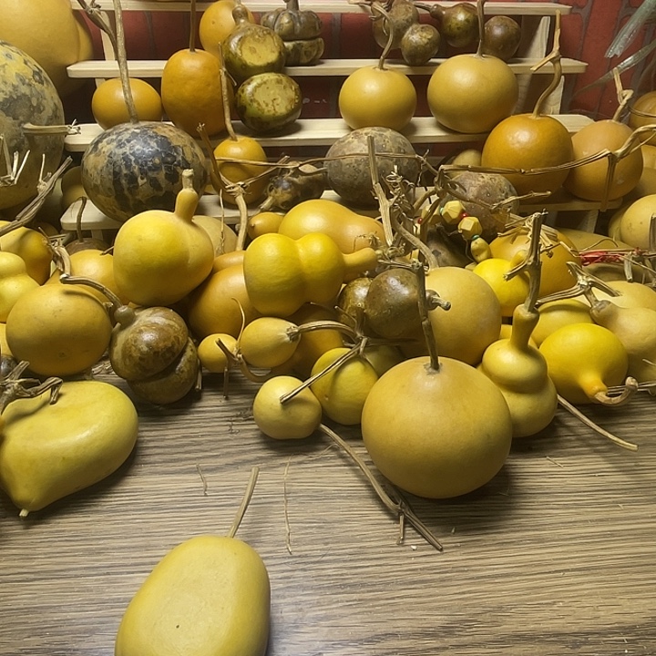 云***客哈哈哈哈哈哈哈哈哈