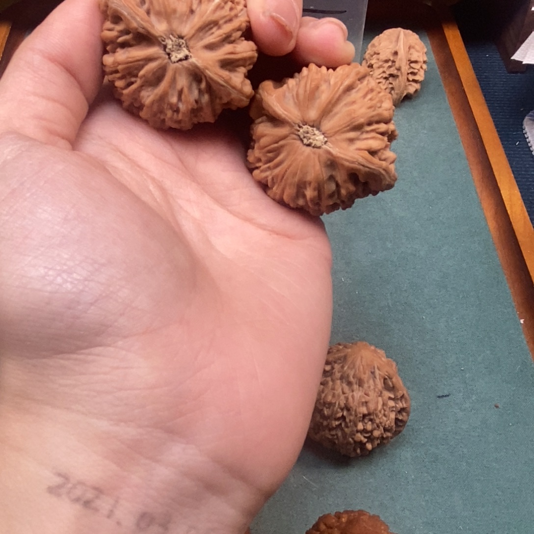 C***y文玩核桃吊坠新品种