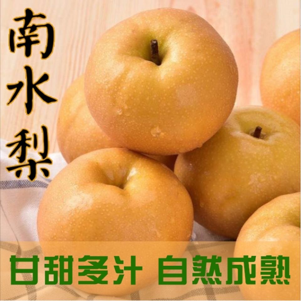 正宗烟台南水梨脆甜多汁薄皮冰糖梨4.5斤