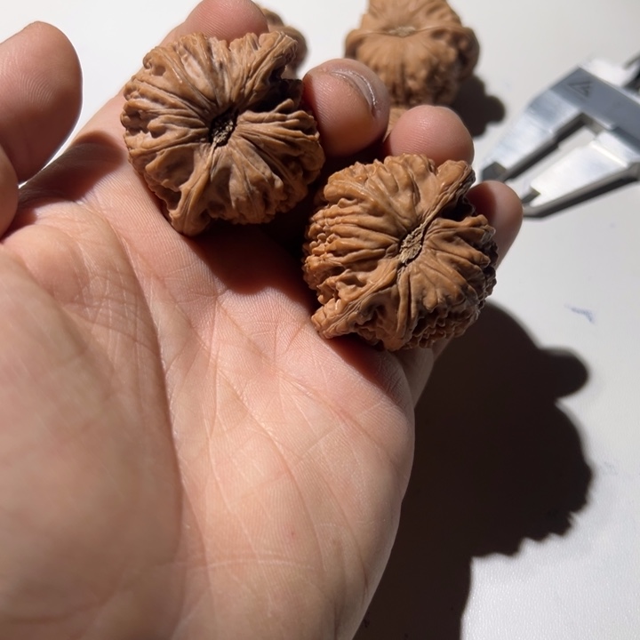 焦***子把件文玩核桃白狮子