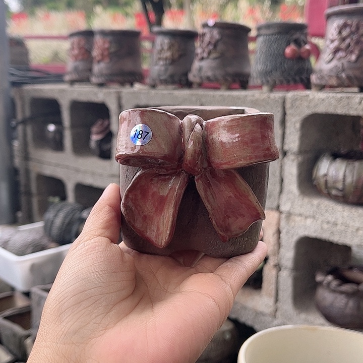 红陶哈哈我要去找