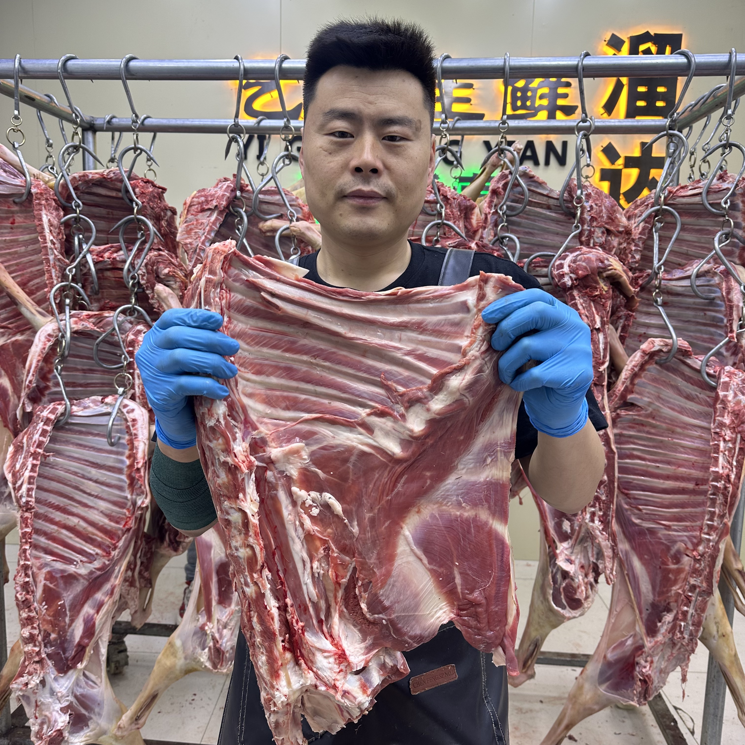 白羊羊排带腩带蝎子，火烧皮，以实物为准