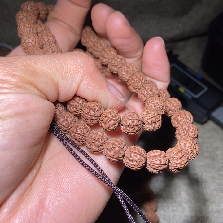 菩提小*手持金刚菩提。  