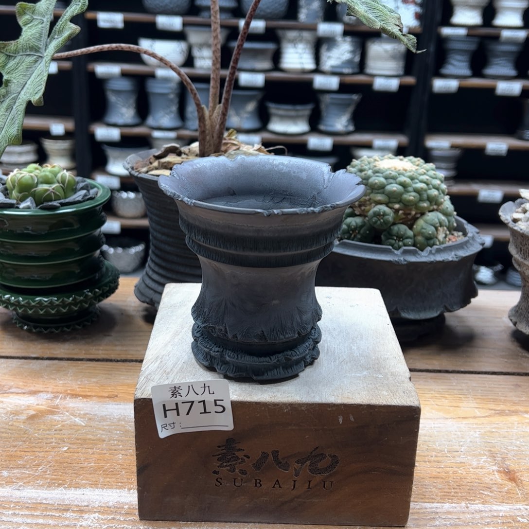 素八九陶瓷内口11高10.5