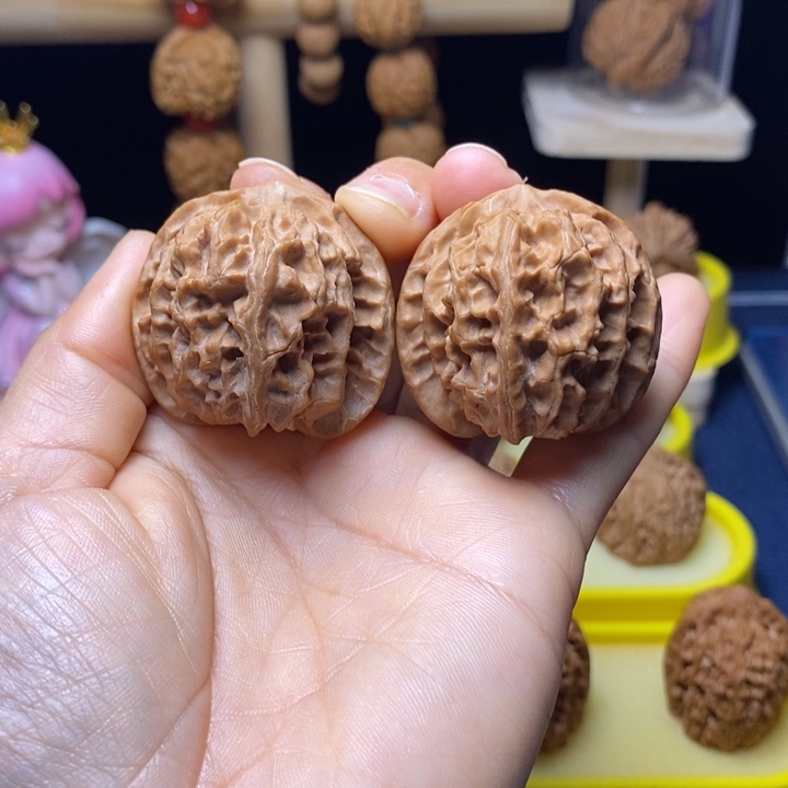 木质39全品苹果园 6号车