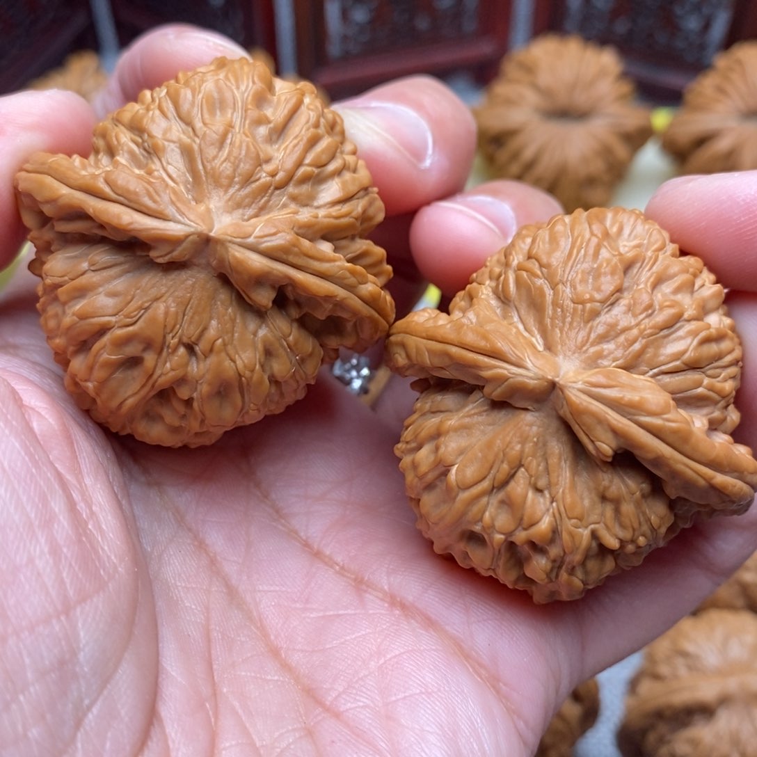 文玩核桃把件毕业白狮子绝配粗棱42+尺