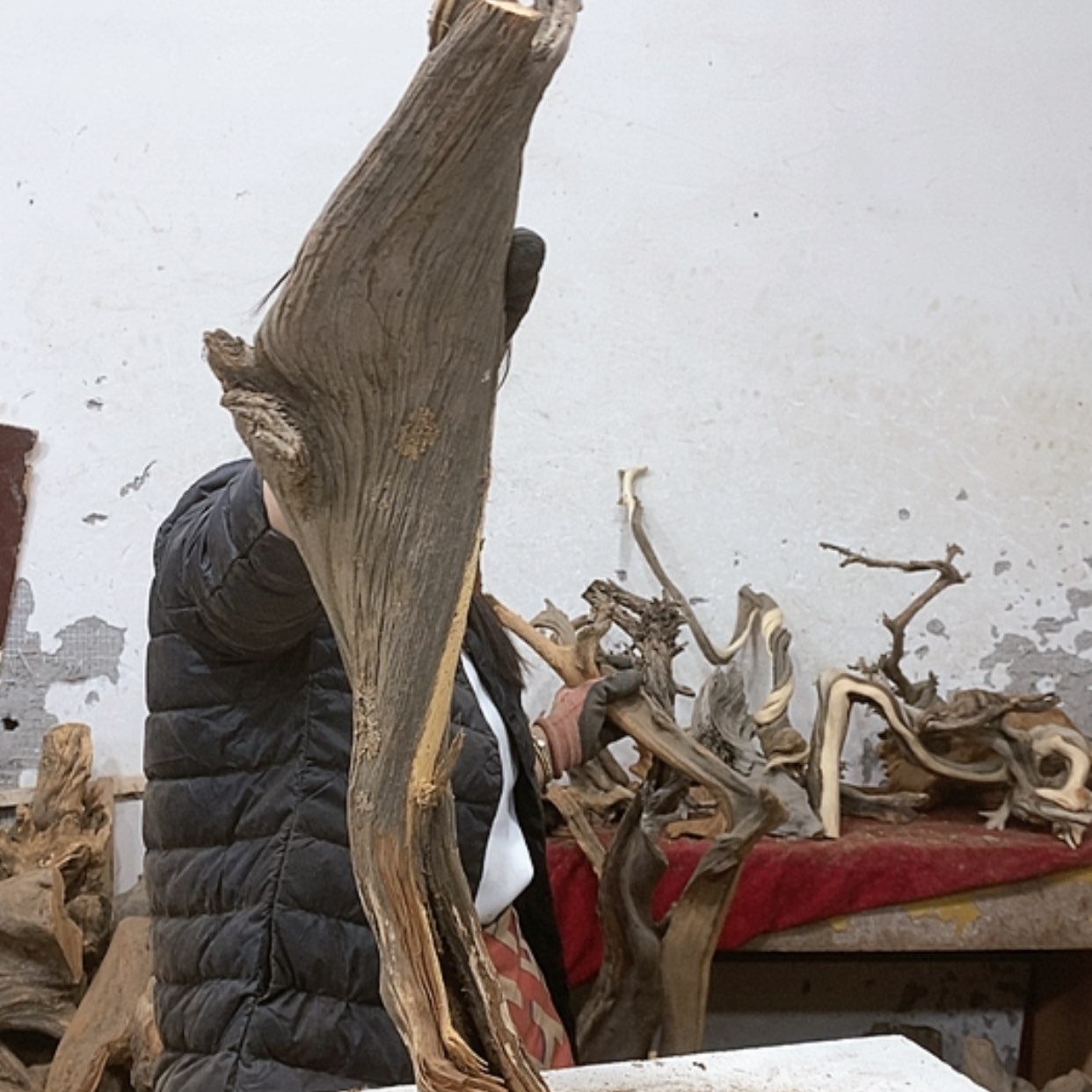 【闪购商品】柏木文我们都是好孩子