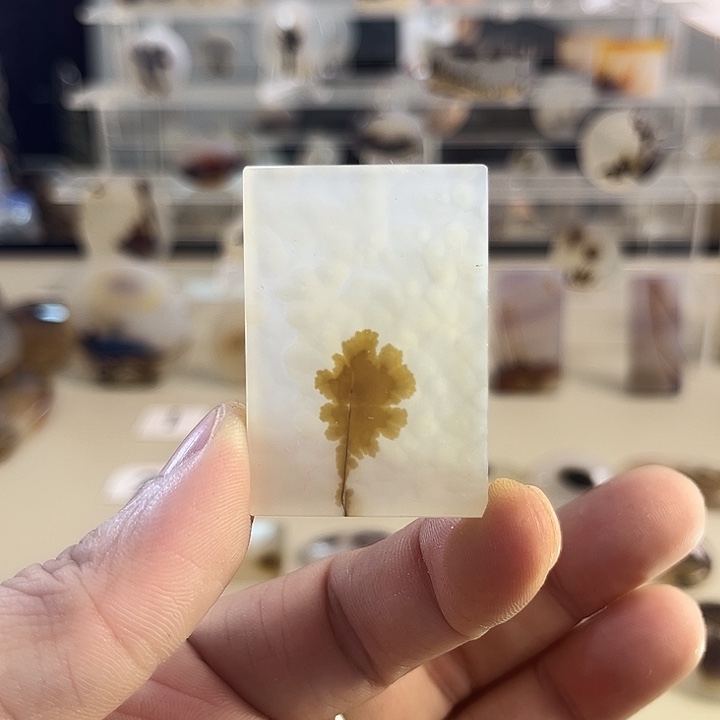 玛瑙/玉髓吊坠(不含链)未镶嵌