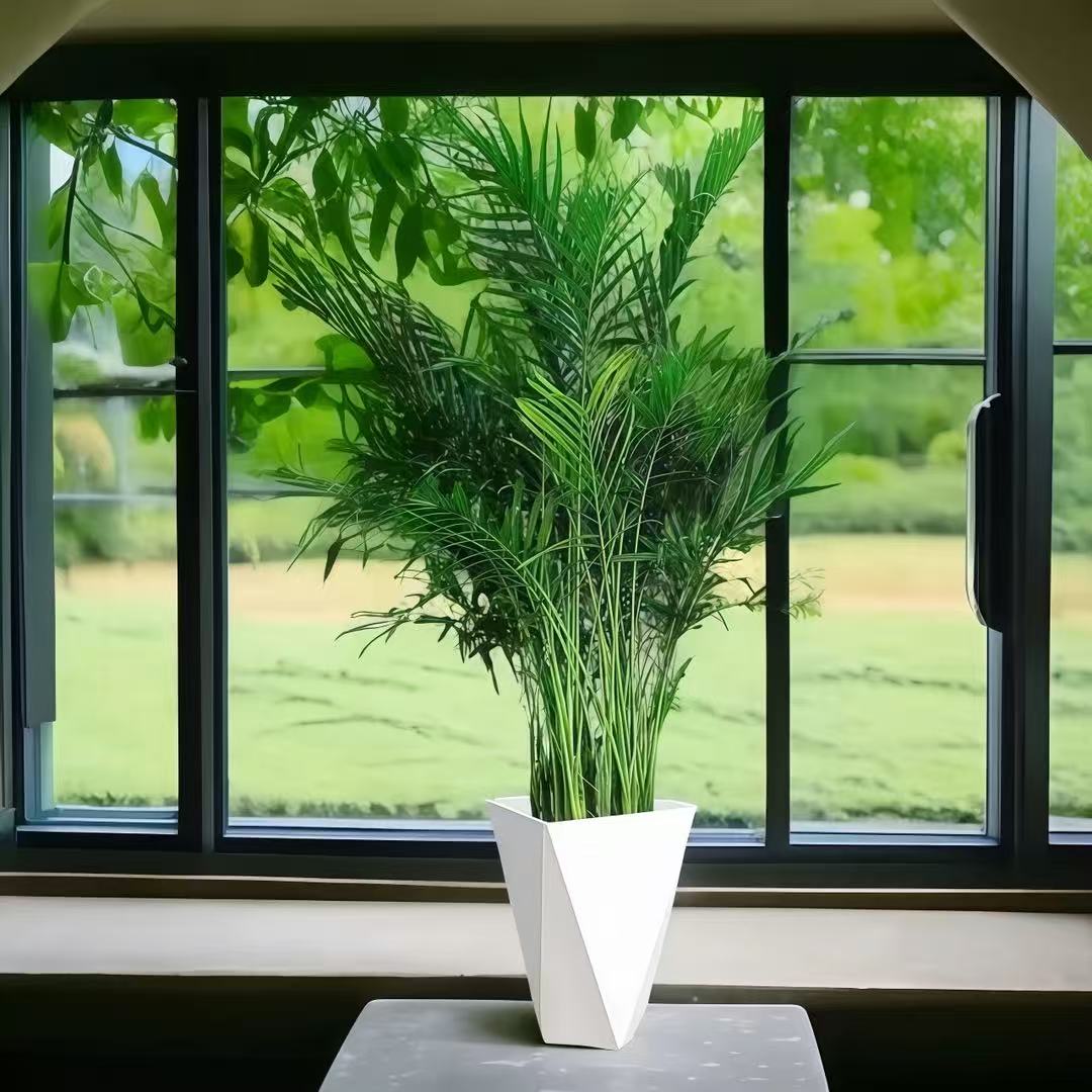 cz耐寒富贵椰子树1.2-1.4米精品盆栽客厅大型室内绿植简单好养活