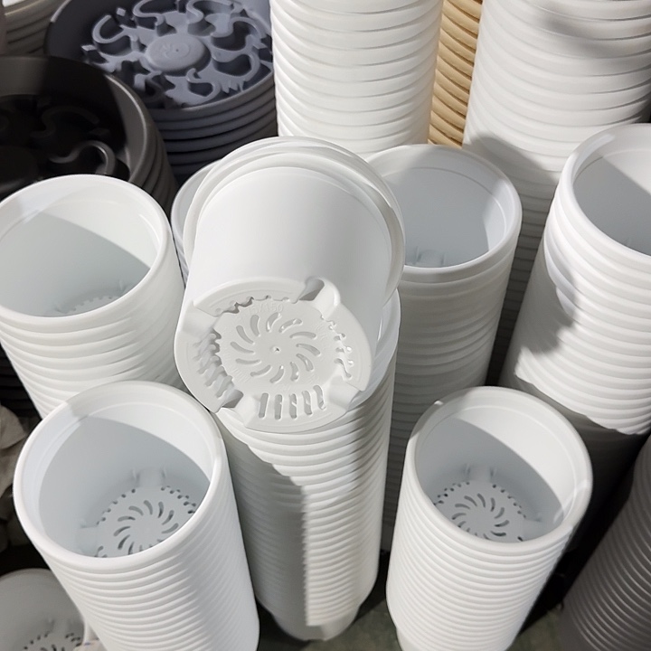 四季2号10个白色的