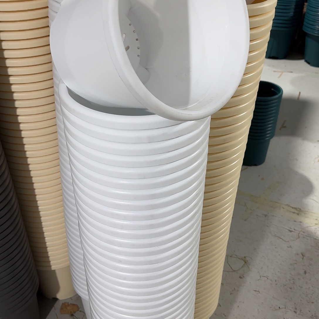 微瑕3号10个带托，白色