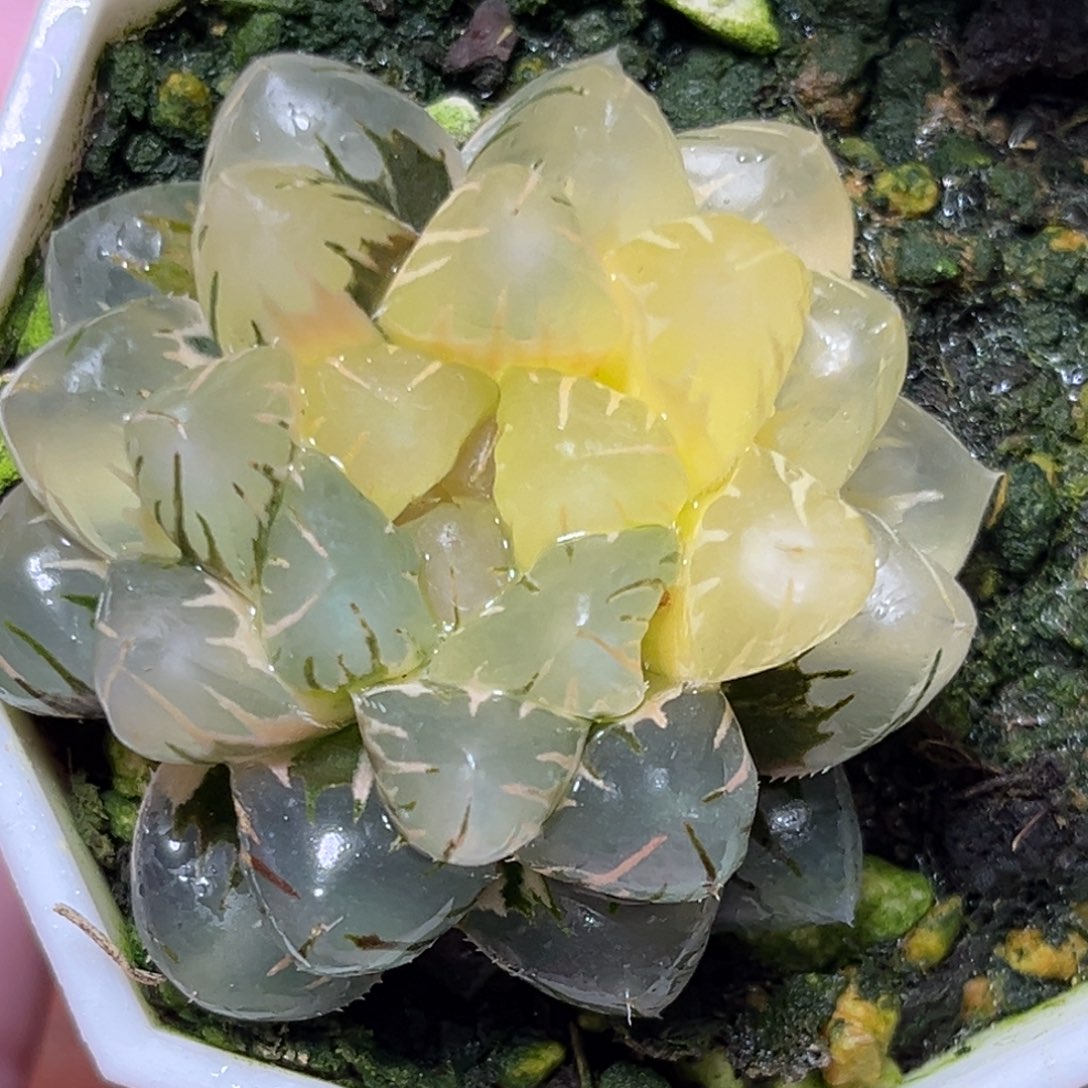 恭喜发财大吉大利624