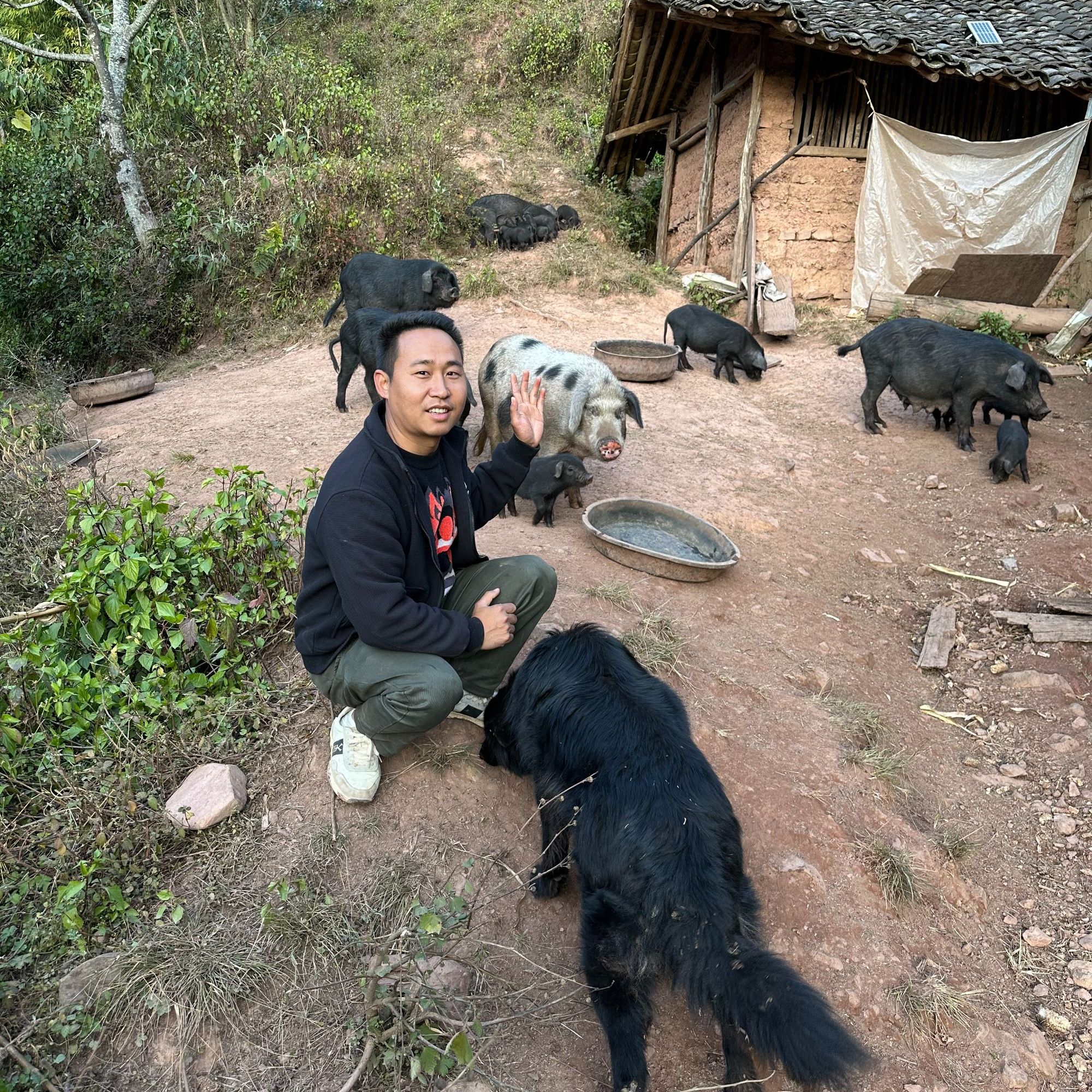 新鲜云南老品种实实在在土猪肉放山猪前腿后腿五花