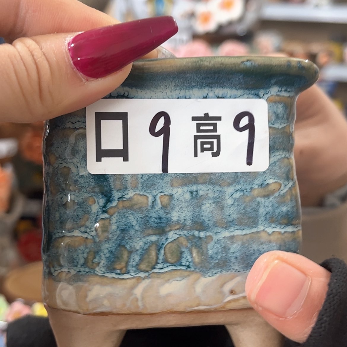 【闪购商品】红陶福利