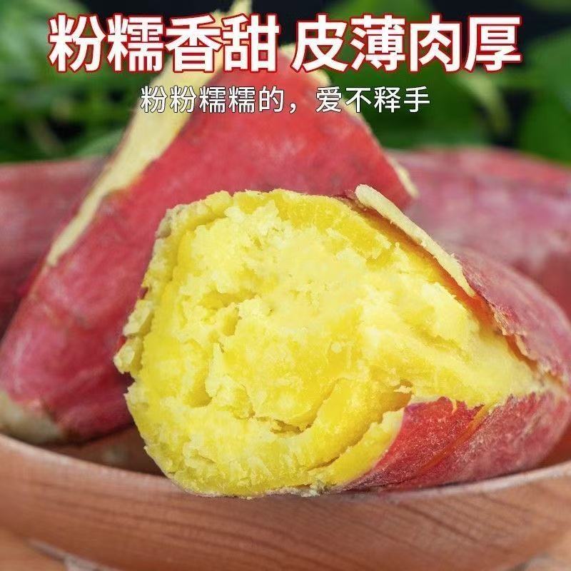 【买3斤送2斤到手5斤】板栗红薯粉糯香甜带箱5斤现挖番薯农家