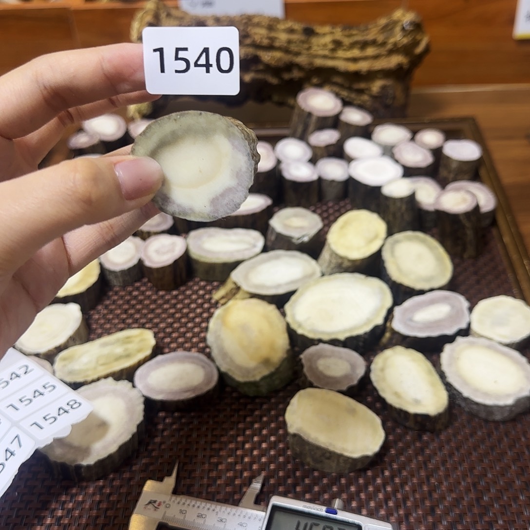 手串/手链鹿骨1540 根段