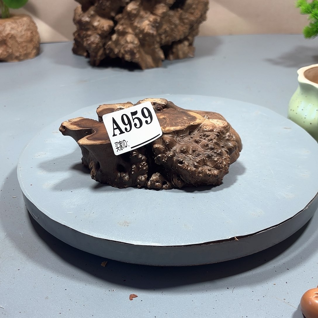 一***一大果紫檀（缅甸花梨）