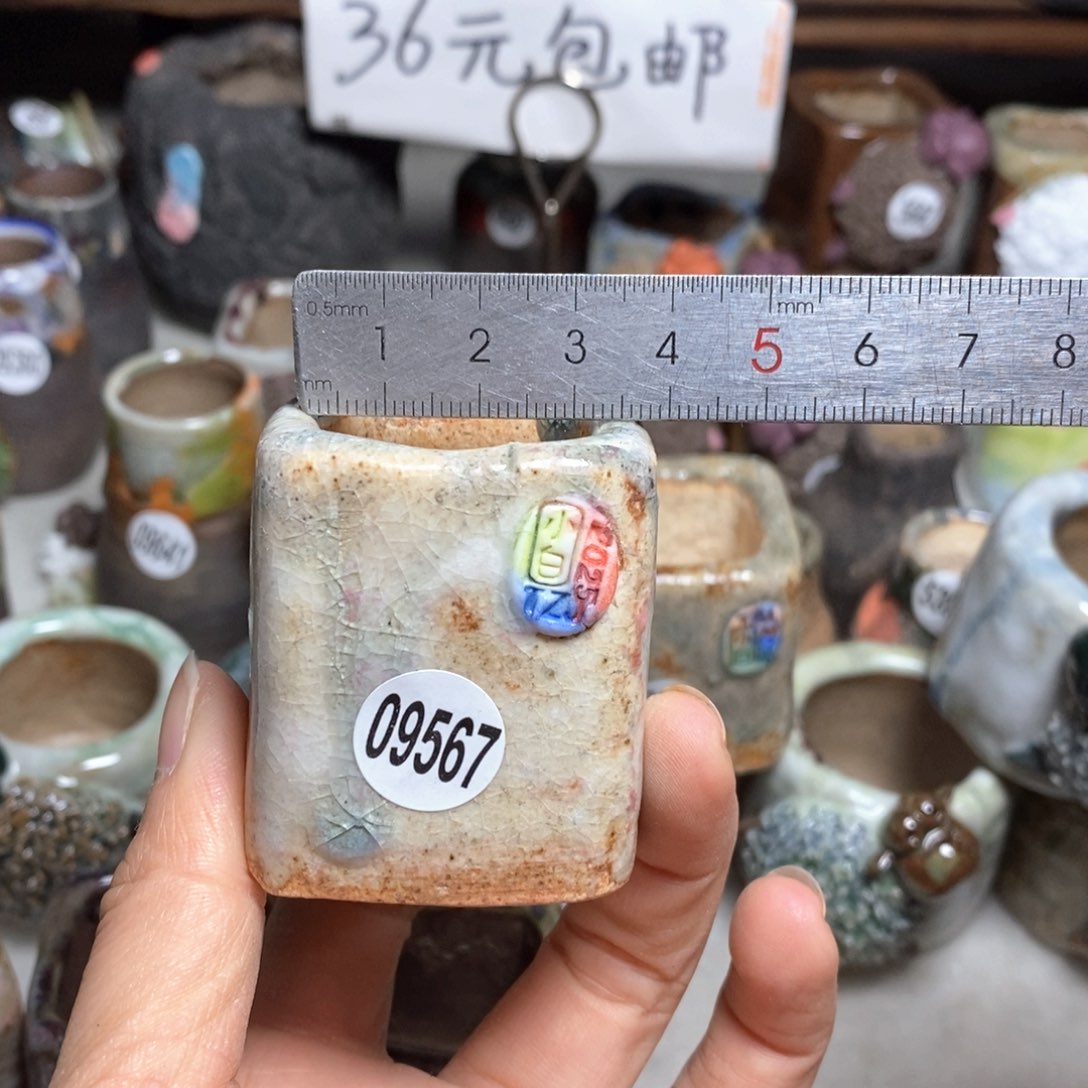 土***?拍3送一个小礼物