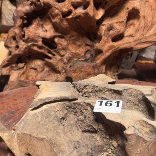 大果紫檀（缅甸花梨）