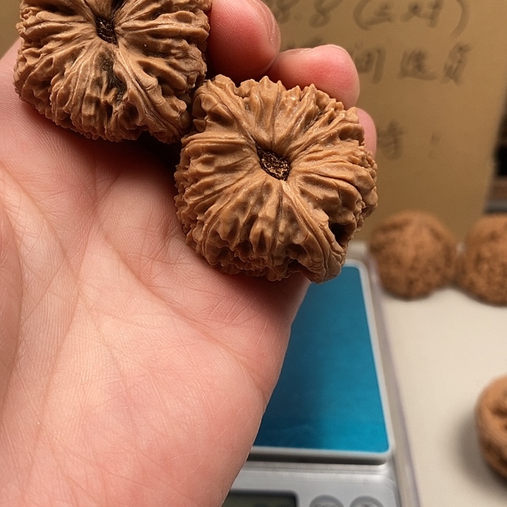 康***伕木质类96.96.96.96