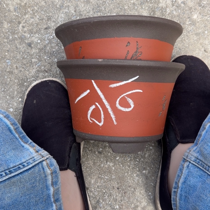 紫砂花盆紫砂的味道