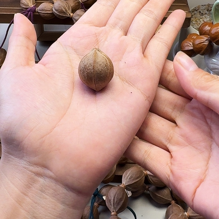 老***-橄榄核手串/手链梅林铁核