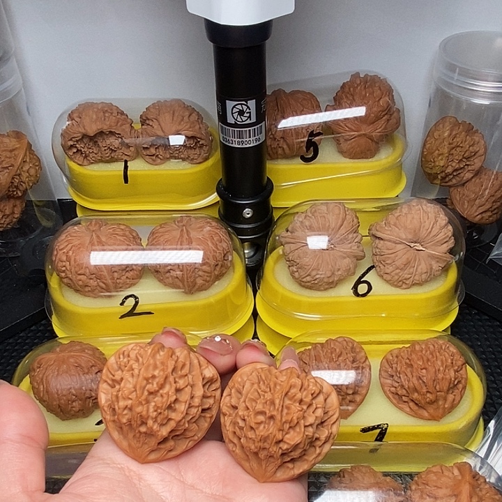 43凹底龙门涧         