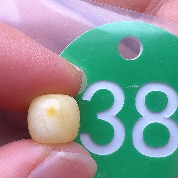 蜜蜡裸石未镶嵌9m m