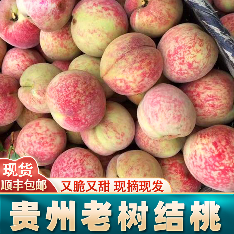 贵州老树桃子鸡血桃猪血桃现摘现发脆甜当脱核离胡新鲜季时令水果
