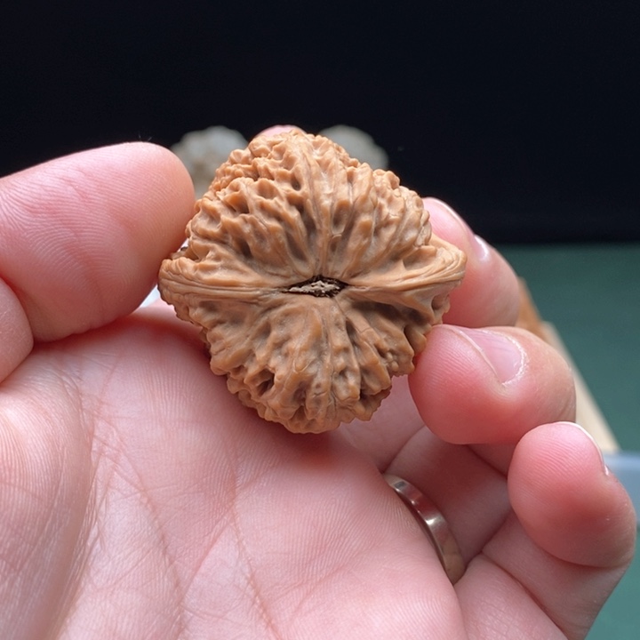 文玩核桃把件鑫****?南将石单支