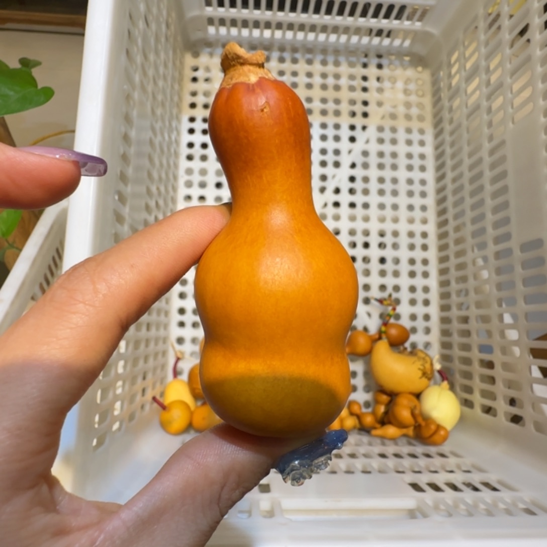 孤***芳哈哈哈哈哈哈哈哈哈哈哈