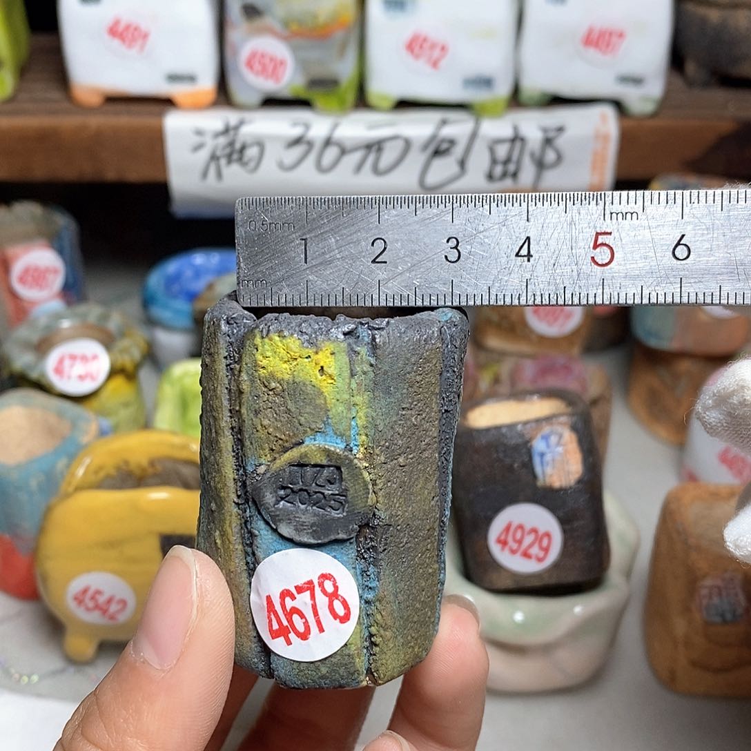 红陶拍5送一个小