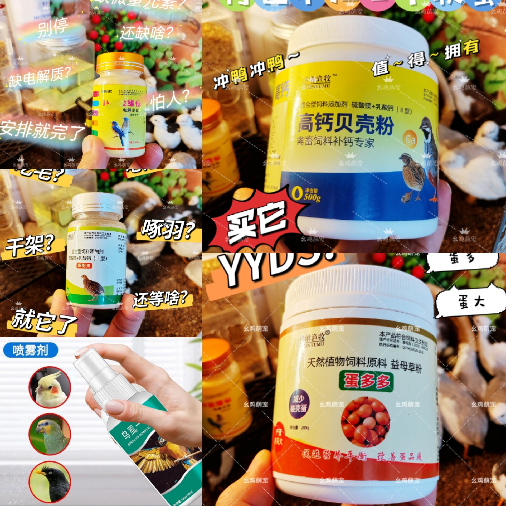 【主播专属】芦丁鸡5件套(36金维他`啄羽灵`贝壳粉`蛋多多`一喷净)