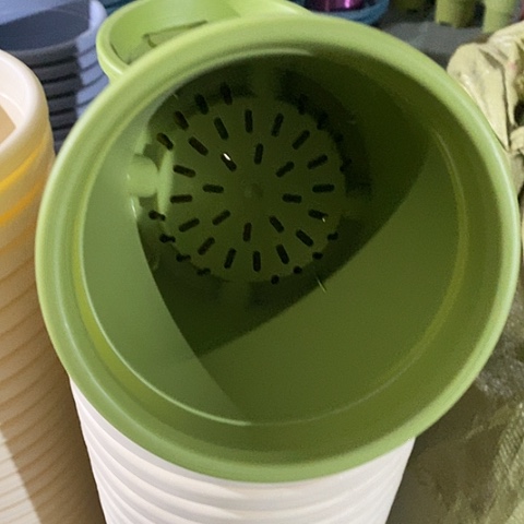 树脂四季1号果绿带托10套