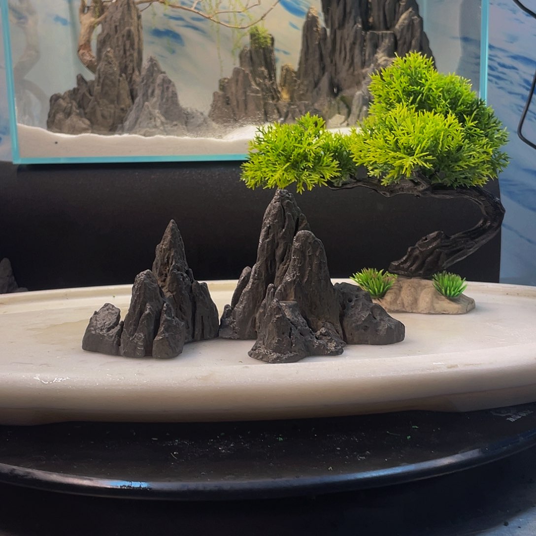 盆景造景鱼缸志坚