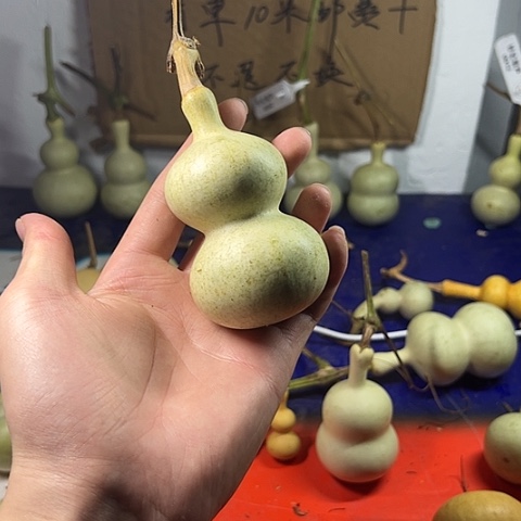 三***月哈哈哈哈哈哈哈哈哈哈哈哈