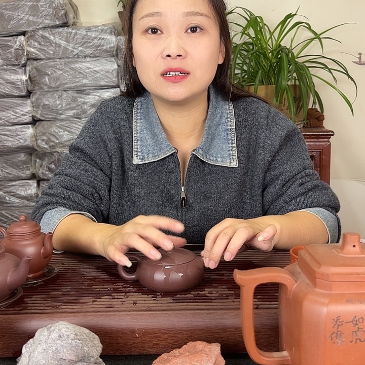 紫砂茶壶宜兴紫砂