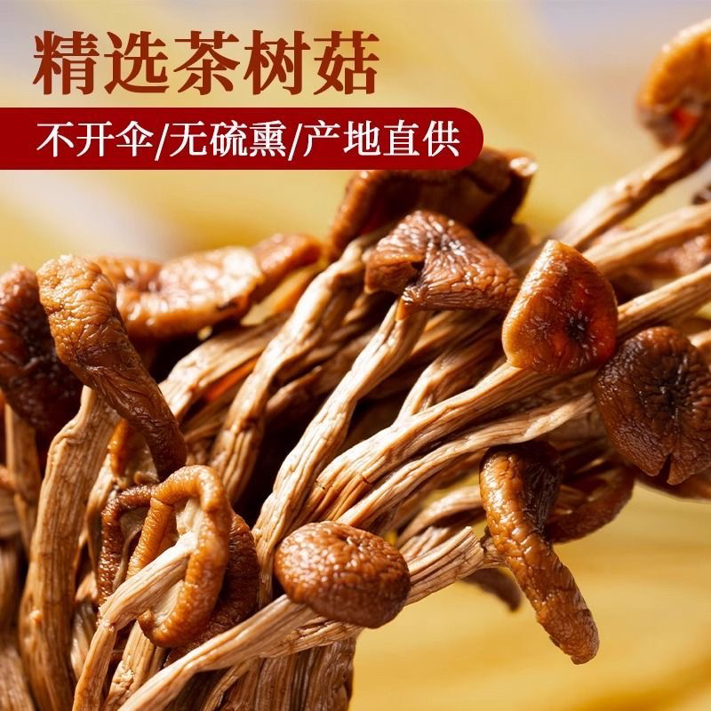 茶树菇干货古田特产未开伞菌菇炖排骨煲汤炒菜优质批发食材