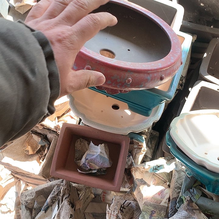 紫砂没有那么好吃我的