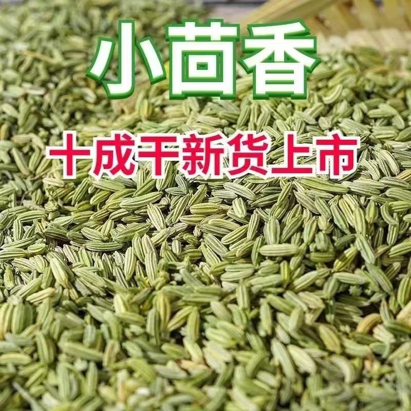 【净重一斤】茴香甘肃小茴香500g新货小茴中药食用特级香料调料卤菜
