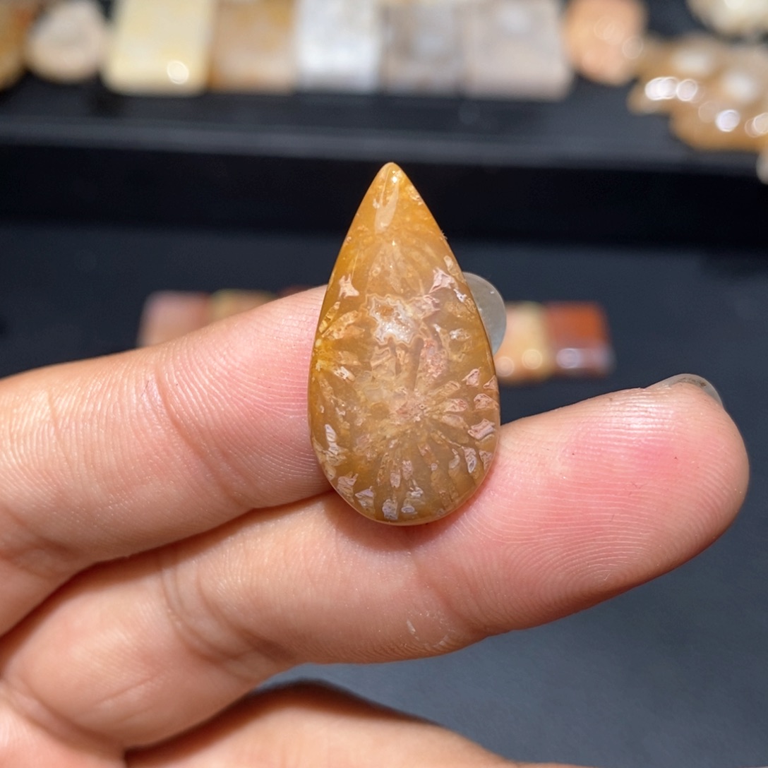 【闪购商品】硅化玉颈饰未镶嵌