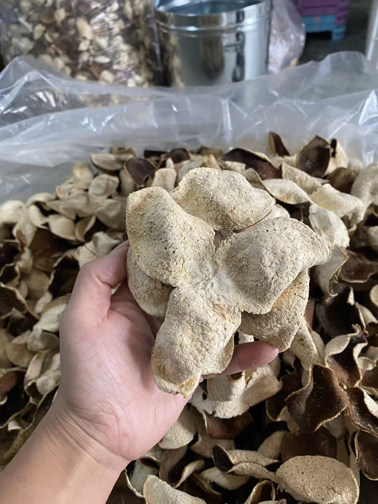 【2023年东甲青皮】新会陈皮 新老茶客日常口粮款 性价比高