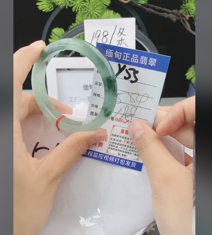 Y55缅甸翡翠手镯处理198/条【一物一证】实物以直播间为准