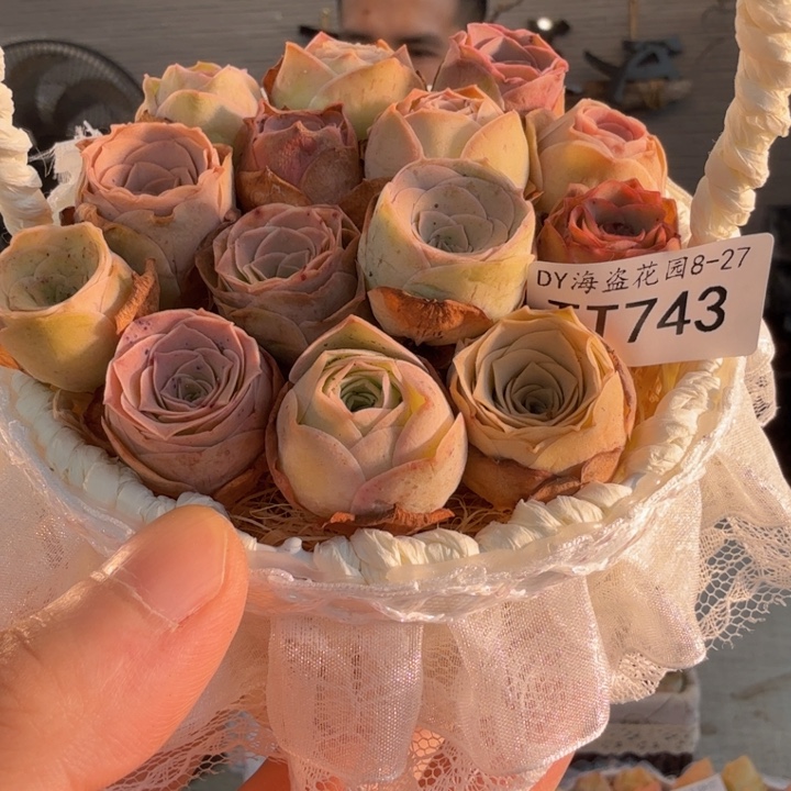c***eTT743 蕾丝花篮玫瑰组合